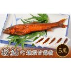魚貝類 桜鮎の燻製甘露煮5尾セット 1211189