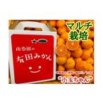 ふるさと納税 果物類 みかん 和歌山県 有田川町 マルチ栽培 有田 みかん 小玉ちゃん 等級混合 2.2kg 南泰園