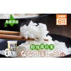定期便 6ヵ月 特別栽培 令和7年産 ななつぼし 5kg