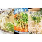 ふるさと納税 うどん 生・半生めん 