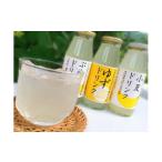 果汁飲料 みかん 柑橘ドリンク 3種類×各8本