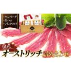 ハム ソーセージ ハンバーグ ダチョウ肉加工品詰め合わせ