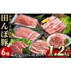 豚肉 セット 希少なヒレ肉入り 田んぼ豚セット 計1.2kg