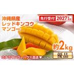 ミナミマンゴーハウスの赤金煌 レッドキンコウ