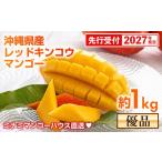 ミナミマンゴーハウスの赤金煌 レッドキンコウ