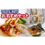イカ 石山水産 セット いか&さば