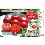 野菜類 トマト 2027年1月~ アルテトマト