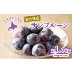 果物類 2026年発送 プルーン 1.6kg