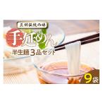 うどん 生 半生めん 三州手延めん半生麺セット_12-217-1