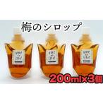 野菜類 加工品 臼杵産の梅を使用したシロップ 計600g