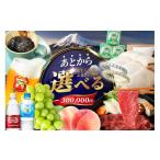 ふるさと納税 ポイント 山梨県 富士吉田市 あとからセレクト ふるさとギフト ３０万円 コーヒー あんこ ヘアケア 天然水 炭酸水 ふとん 布団 餃子 ふじやまビ…
