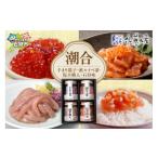 ふるさと納税 鮭・サーモン 北海道 