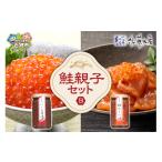 魚貝類 鮭 佐藤水産 鮭親子セットB 鮭ルイベ漬