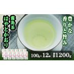 お茶類 緑茶 茶葉 ティーバッグ D-055