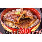 ふるさと納税 和歌山県 有田市 国産うなぎ蒲焼きカット500gセット (A448-1)