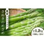 fu.... налог овощи вид спаржа Kagawa префектура маленький бобы остров блок весна . спаржа [.... ...](100g×12 пачка )