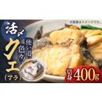 旬の鮮魚等 使い道いろいろ 活〆 クエ アラ