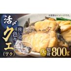 旬の鮮魚等 使い道いろいろ 活〆 クエ アラ