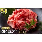 牛肉 神戸ビーフ 切り落とし 500g×2