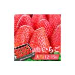 ふるさと納税 いちご 山梨県 笛吹市  山梨県笛吹市 大粒いちご12〜15粒入り 164-004-26y