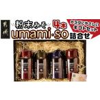 味噌 粉末みそ umami so 詰合せ 発酵食品