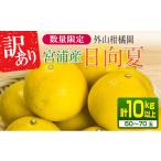 ふるさと納税 果物類 みかん 宮崎県 日南市 先行予約 訳あり 宮浦産 日向夏 計10kg以上 期間限定 数量限定 フルーツ 果物 くだもの 柑橘 みかん 令和8年発送 …