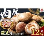 fu.... налог овощи вид .. . Tochigi префектура стрела доска город тщательно отобранный мясо толщина *. дерево сырой ....1.2kgl...... сырой .... шиитаке .. . прямая поставка от производителя стрела доска город производство Tochigi префектура производство местного производства 