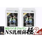 健康食品 NS乳酸菌 極 特別パッケージ 2パック