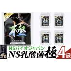 健康食品 NS乳酸菌 極 特別パッケージ 4パック