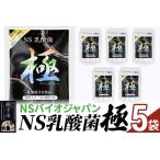 健康食品 NS乳酸菌 極 特別パッケージ 5パック