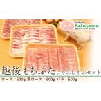 豚肉 しゃぶしゃぶ 越後もちぶたしゃぶしゃぶセット