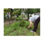 fu.... налог Event . билет и т.п. префектура Miyagi город Iwanuma пустой дом управление сервис A( видеть вокруг * простой работа ( мусор .., прополка работа )* комментарий ) примерно 2 час билет No.5704-0415