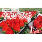 ふるさと納税 いちご 群馬県 渋川市 陽一郎園のいちご「やよいひめ」 1kg以上 いちご イチゴ 苺 期間限定 フルーツ 果物 F4H-0036