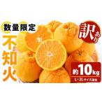 ふるさと納税 みかん・柑橘類 デコポン 鹿児島県 いちき串木野市 ＼数量・期間限定／ 訳あり 池之上果樹園の”旬の”不知火 10kg（L・2Lサイズ混同）10kg箱バ…