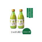 みかん 柑橘類 ゆず プレミア和歌山 じゃばら果汁360ml×2本