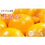 果物類 みかん はるみ 約2.8kg