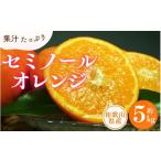 果物類 みかん セミノールオレンジ 約5kg