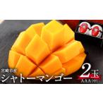 ふるさと納税 マンゴー 宮崎県 宮崎市 《2026年発送》 数量・期間限定 シャトーマンゴー(中) AAA 2玉_M126-010 103,000円 中サイズ