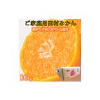 ふるさと納税 果物類 みかん 和歌山県 印南町 ［ご家庭用訳あり］田村みかん　10kg［2026年11月下旬以降発送］［先行予約］［UT16］