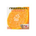 ふるさと納税 果物類 みかん 和歌山県 美浜町 ご家庭用訳あり 田村みかん 10kg ふるさと納税 ミカン 2025年11月下旬〜2026年1月下旬頃に順次発送予定