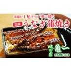 ふるさと納税 うなぎ 愛媛県 愛南町 国産 うなぎ 手焼き 蒲焼き 2尾 ( 1尾 約120g ／ 合計 約240g ) 鰻 蒲焼 秘伝の タレ 山椒 付き セット 17000円 国内産 昭…