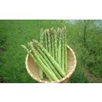 fu.... налог овощи вид спаржа Hokkaido Akai река .[F].книга@ сельское хозяйство место [karutela. ...(LM)] иметь машина JAS одобрено aspala