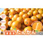 ふるさと納税 みかん・柑橘類 鹿児島県 徳之島町 1319 《まもなく旬 》（家庭用）見た目は でも味は 徳之島産“もぎたて”たんかん（10kg） （ 訳あり 訳有 わ…