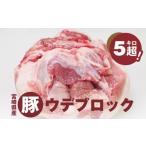 ふるさと納税 豚肉 焼肉・バーベキュー 宮崎県 木城町 宮崎県産豚ウデブロック５kg超 K16_0014_10 国産豚肉 ウデ肉 かたまり肉 5キロ 冷凍 大容量 ブロック肉 …
