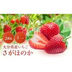 ふるさと納税 いちご 大分県 中津市 大分県産いちご さがほのか 約 800g ( 200g×4パック ) | 苺 イチゴ いちご ベリー フルーツ 果物 くだもの 九州産 大分県…