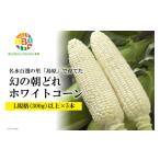 とうもろこし CE278 幻の朝どれホワイトコーン
