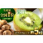 ふるさと納税 果物類 愛媛県 大洲市 キウイフルーツ 11月以降順次発送 国産 キウイ フルーツ 約 5kg キューイ 果物 くだもの きうい キウィ愛媛県大洲市／沢井…