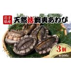 ふるさと納税 魚貝類 アワビ 岩手県 大船渡市  スピード発送 あわび 3個 約300g 冷蔵 鮑 蝦夷あわび 活あわび あわび アワビ 鮑 Abalone ステーキ バターソテ…