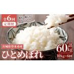 ふるさと納税 米 ひと