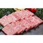 牛肉 ハンバーグ 隔月定期便6回 お気軽佐賀牛:C136-001